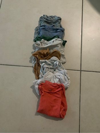 Bodies