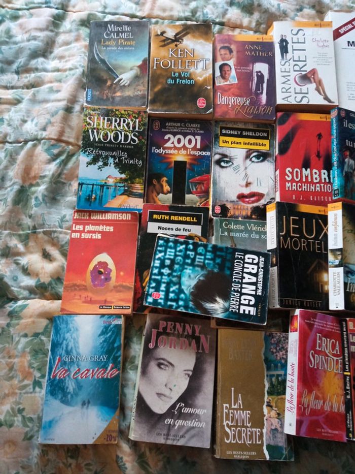 Gros lot de livres - photo numéro 2