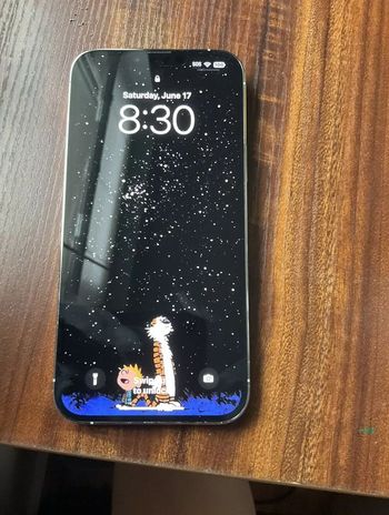 iPhone 13 pro max