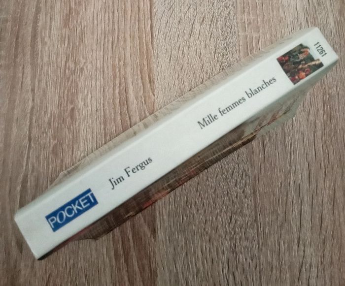 Jim Fergus 🪅 Mille femmes blanches - photo numéro 3