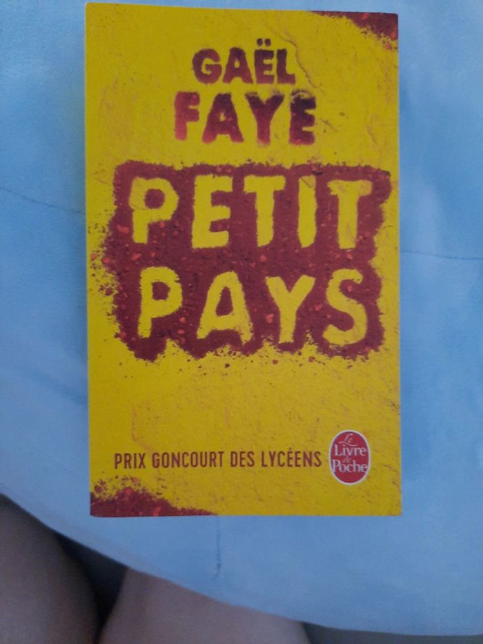 Petit pays