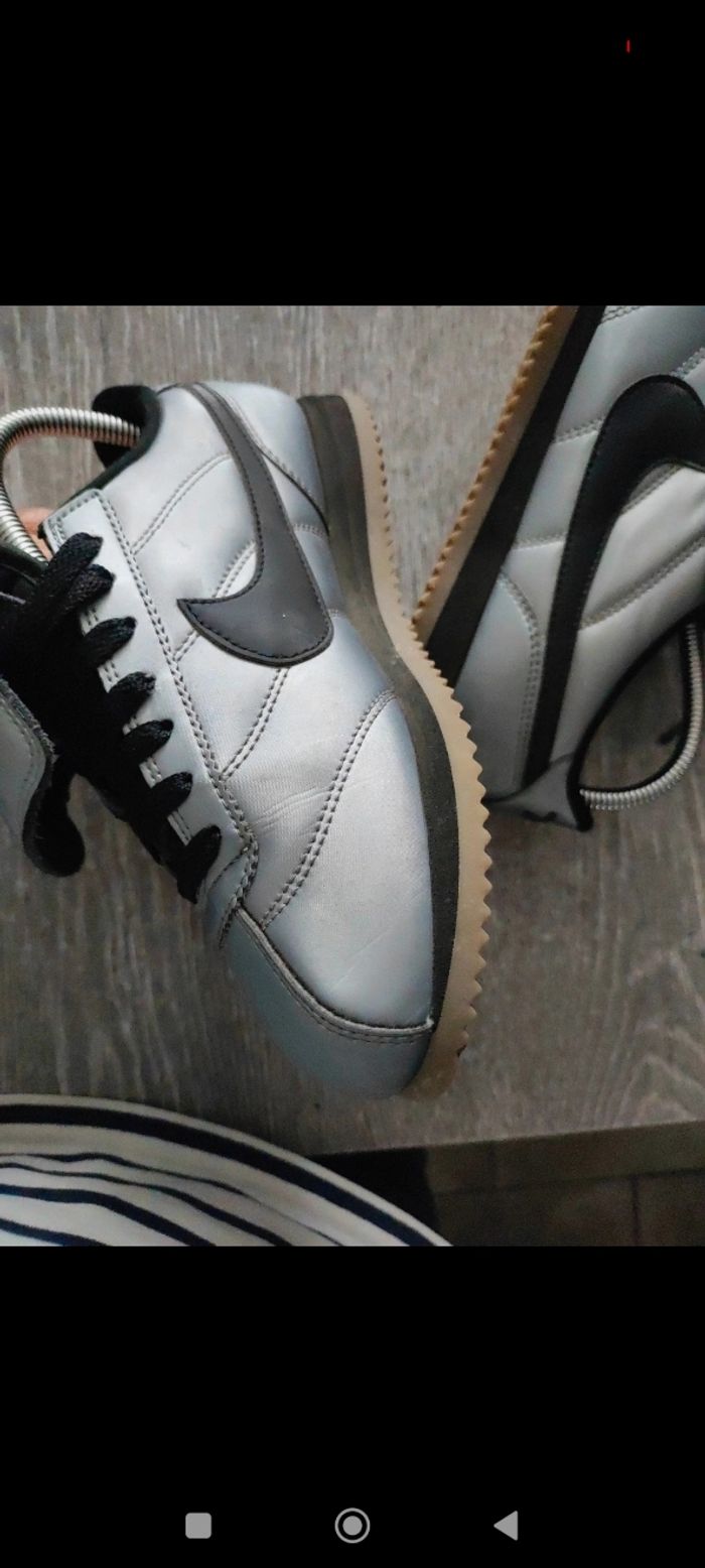 Cortez gris argenté - photo numéro 5