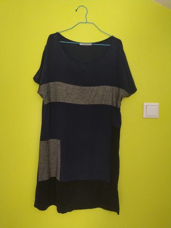 Robe Manches courtes camaïeu