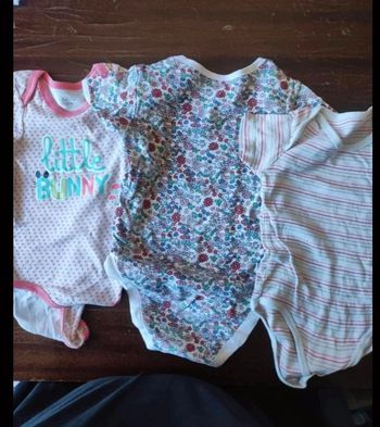 Lot de 3 bodies manche courte