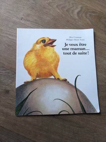 Livre je veux etre une maman tout de suite!