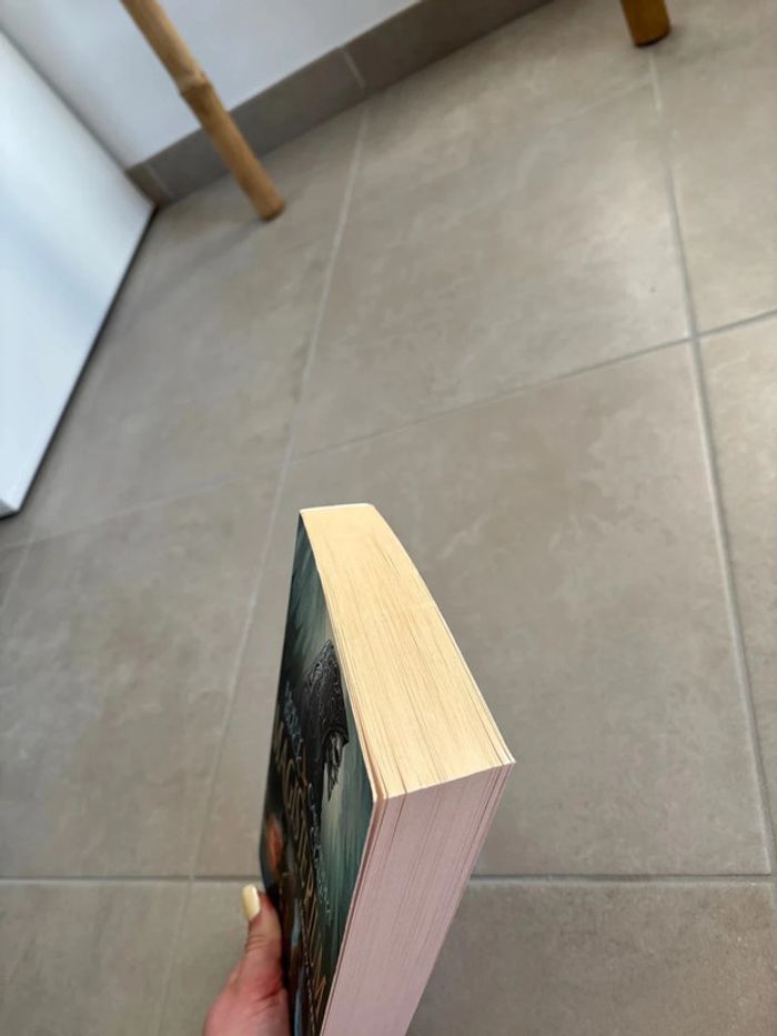Livre fantastique - photo numéro 4