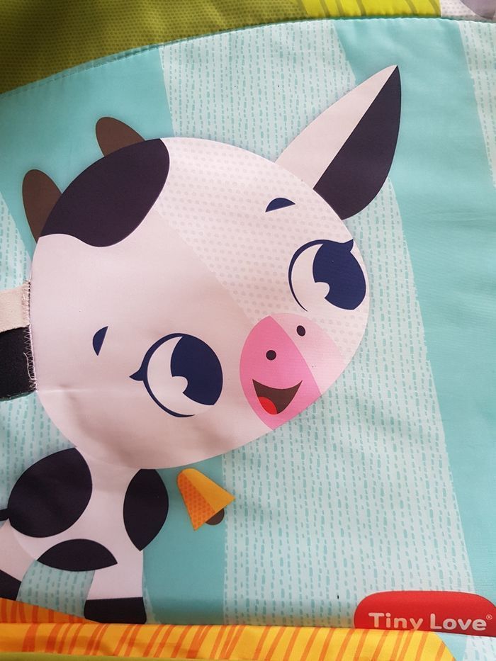 Tapis d'éveil - photo numéro 7