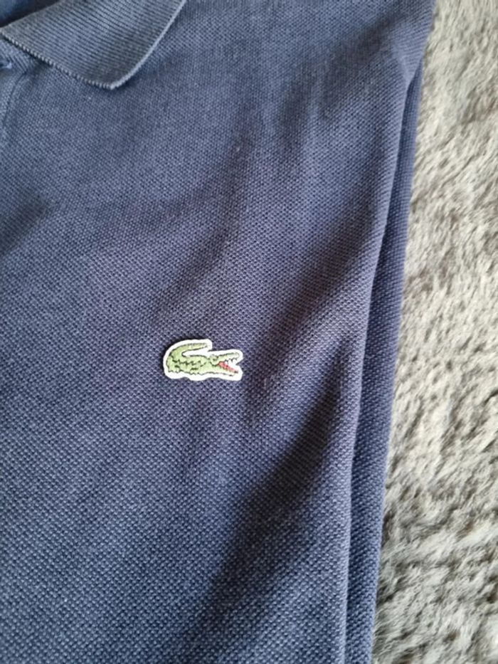 Polo manches courtes Lacoste Bleu, S Hommes - photo numéro 4