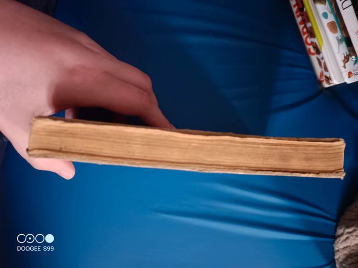 Livre d'apprentissage du temps passé - photo numéro 7
