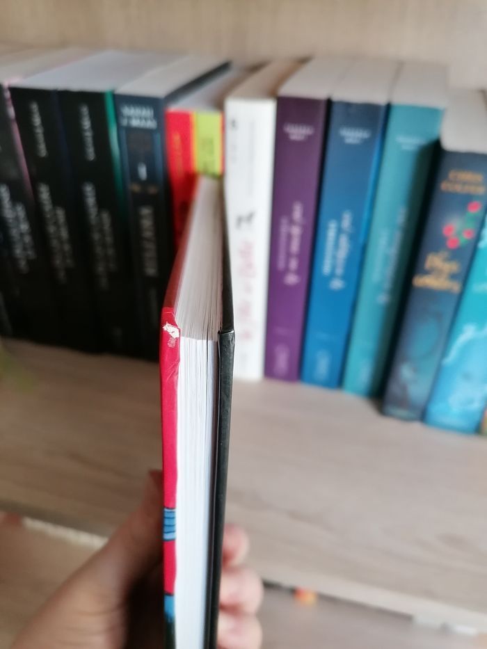 Agnès, les mystères de Planctonville - photo numéro 5