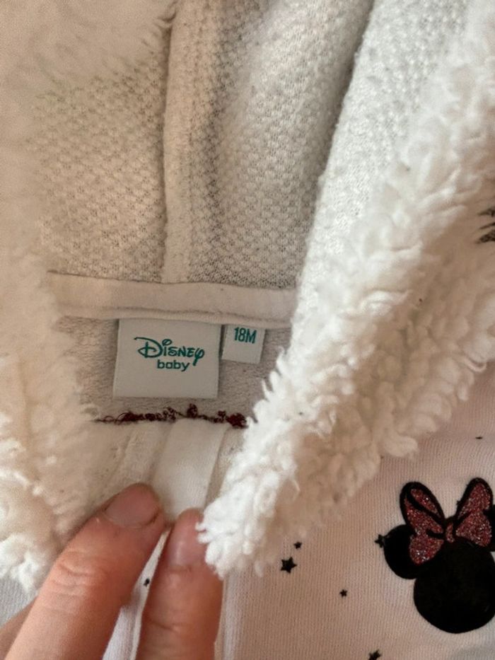 Pancho Disney - photo numéro 2