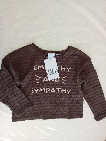 Pull marron neuf Zara