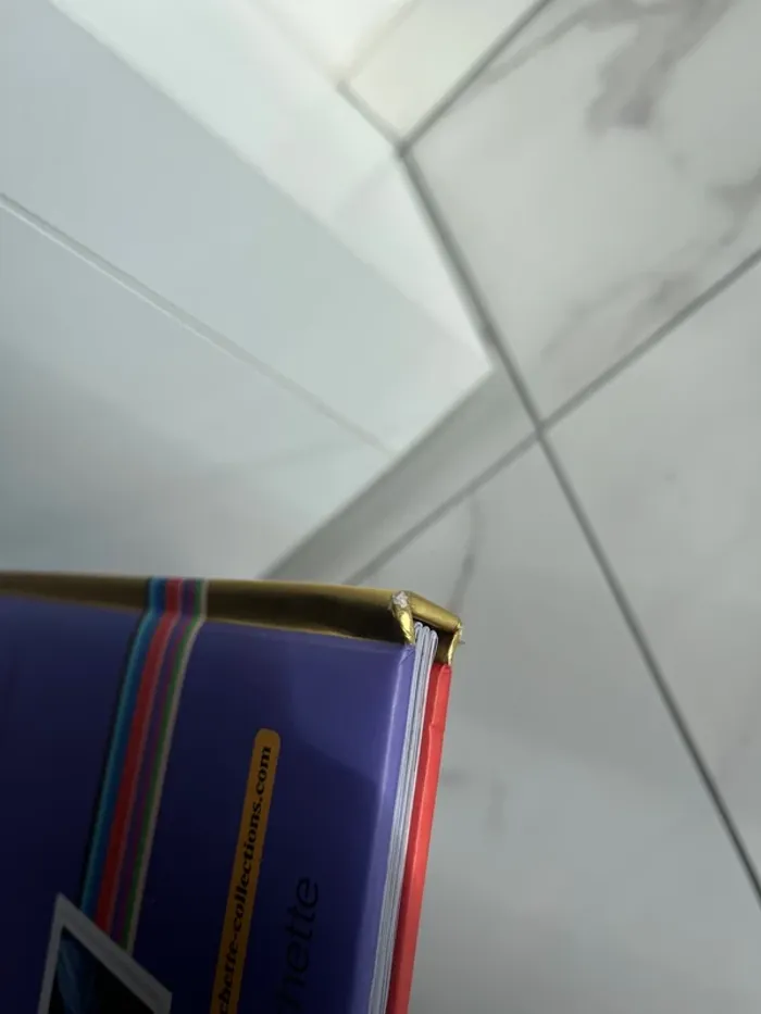 Livre coco pixar - photo numéro 4