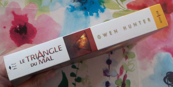 Le Triangle du mal de Gwen Hunter Harlequin Best Sellers n°224 - photo numéro 4