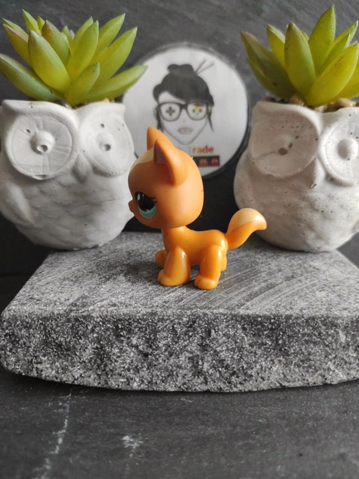 Littlest Petshop LPS Pet Shop chat main coon 1100 cat maincoon #geektradelpschat - photo numéro 4