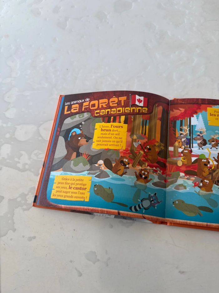 Livre les animaux les plus malins du monde ! - photo numéro 3