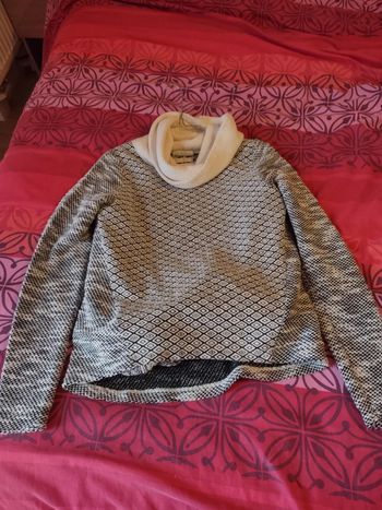 Pull col roulé graphique Promod