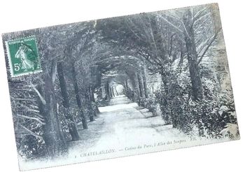 Carte postale ancienne Châtelaillon (Charente-Maritime) Casino du Parc L' allée des Soupirs