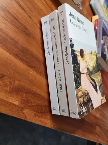 Lot de 3 livres Folio