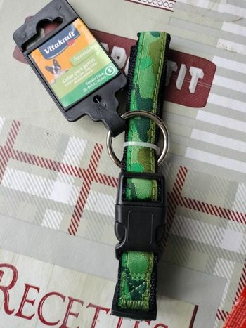 Collier chien