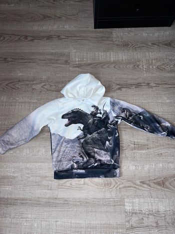 Sweat garçon