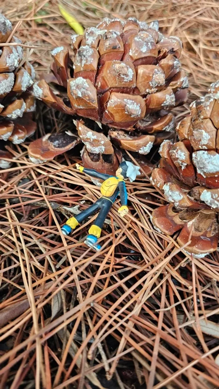 Super figurine Pokemon Nintendo Brice - photo numéro 4