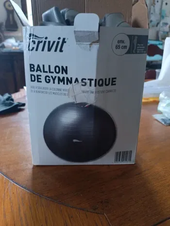 Ballon de gymnastique Crivit 65 cm