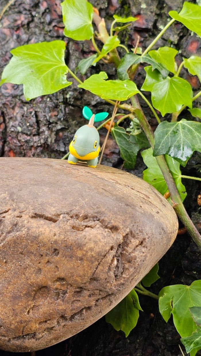 Super figurine Pokemon Nintendo tortipouss