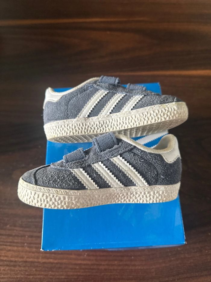 Paire de gazelle - photo numéro 6