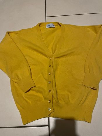 Gilet en laine vintage caroll