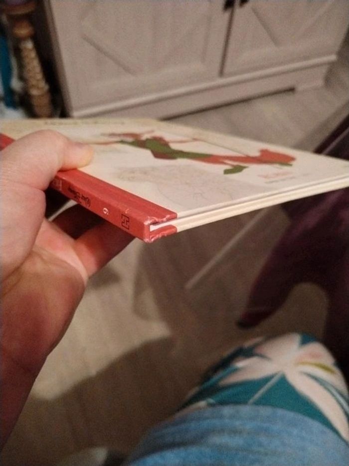 Livre Walt Disney - photo numéro 11