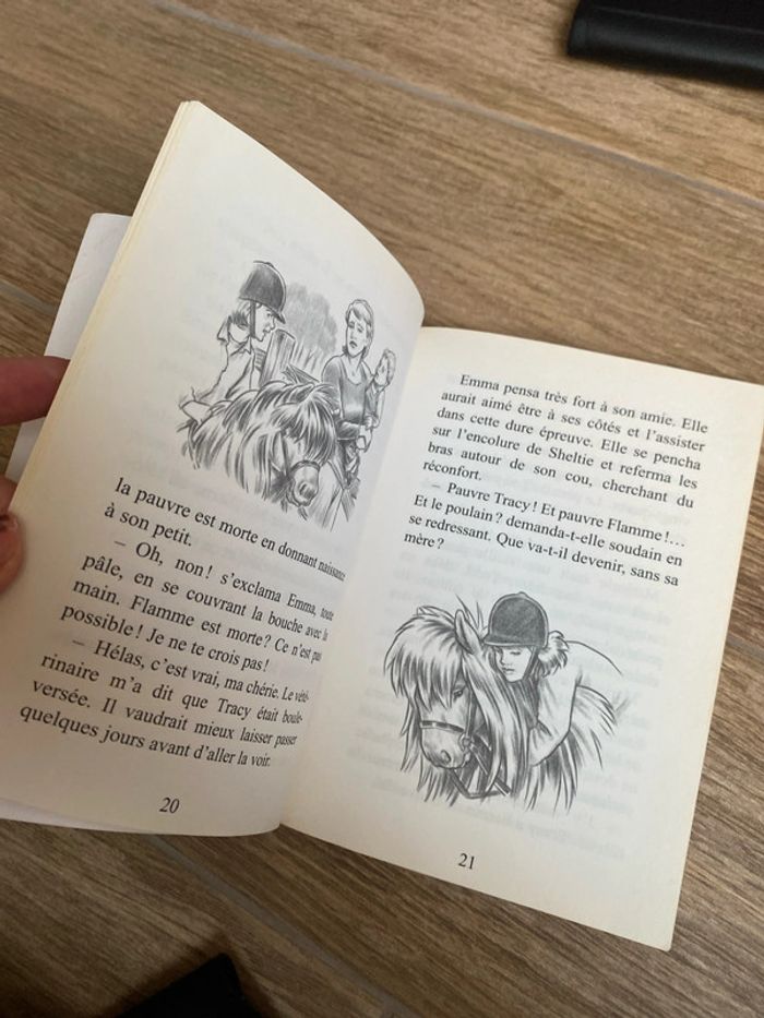 Livre - photo numéro 3