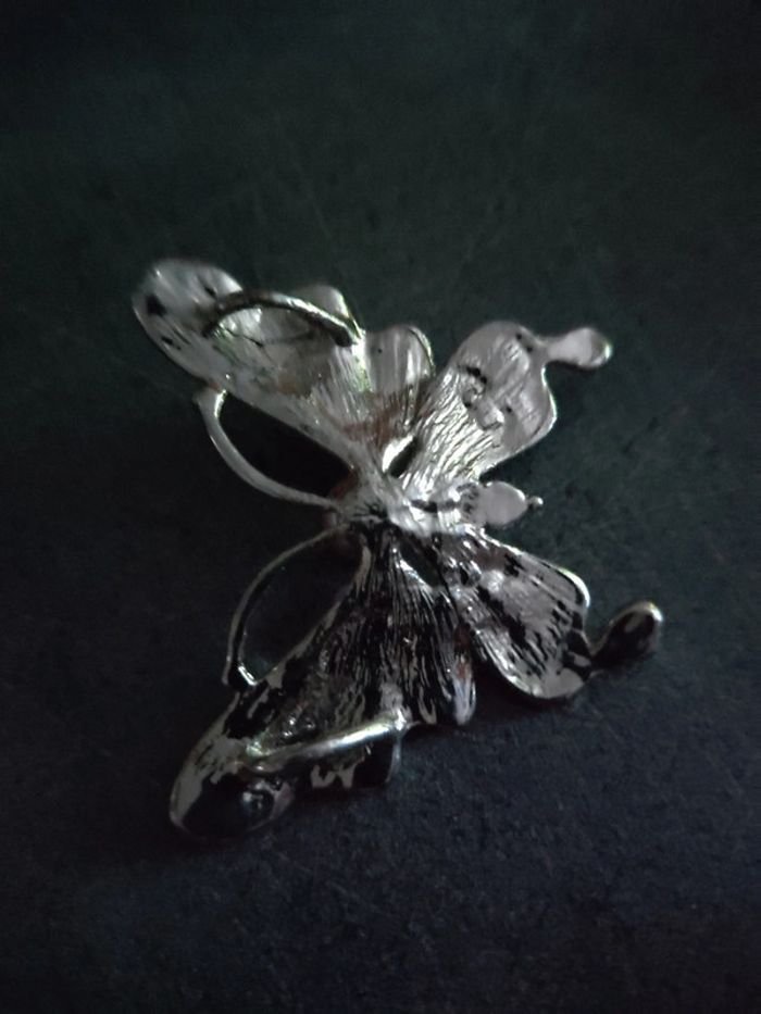 Papillon - photo numéro 3