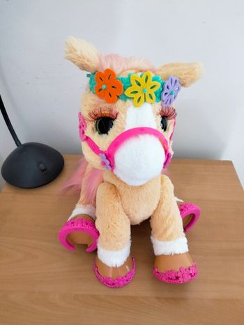 Cannelle mon poney coquette