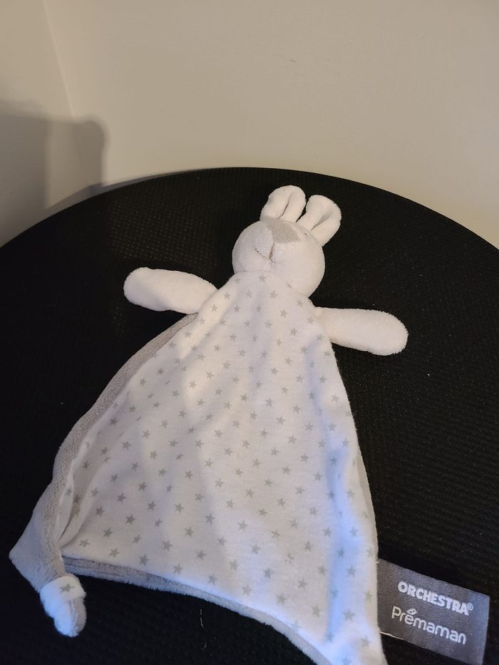 doudou lapin - photo numéro 3