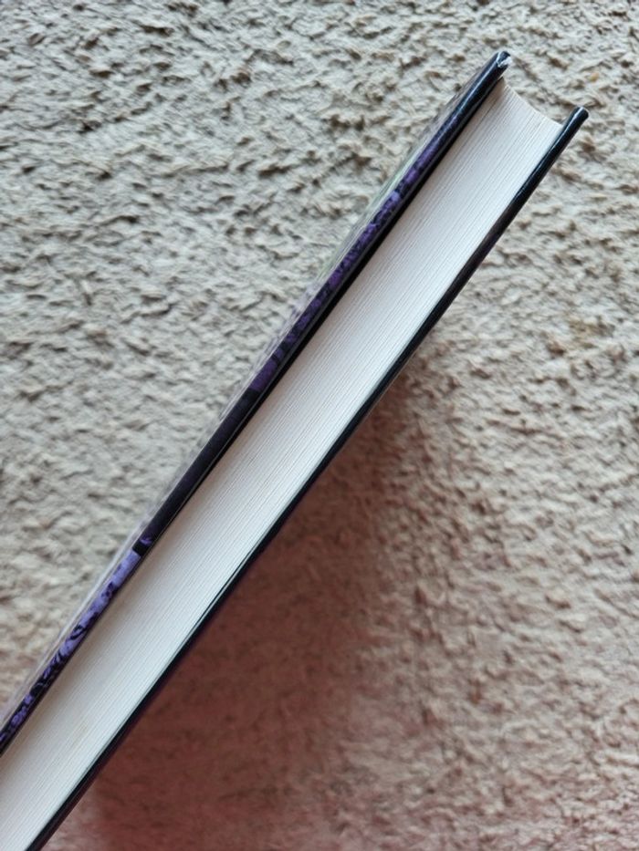 Livre Un bon ange de Marc Sich - photo numéro 3