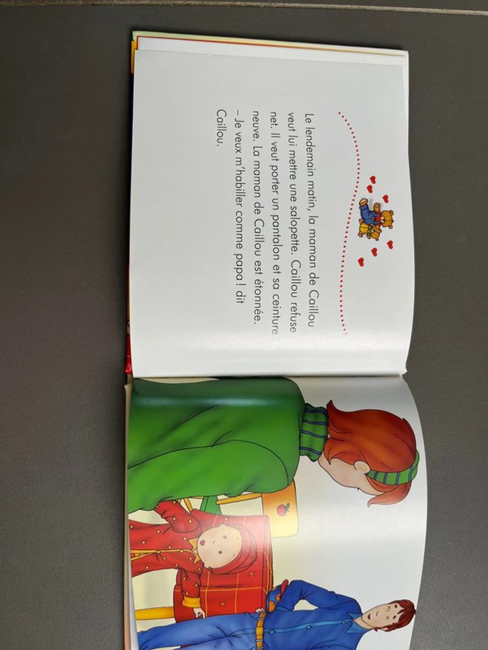 Livre caillou comme papa - photo numéro 3