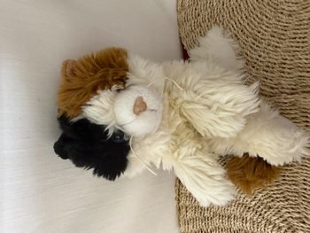 Peluche chat anna club plush
