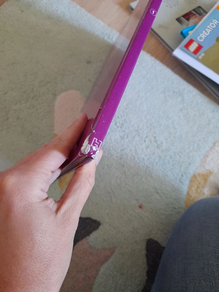 Bd dusney violetta - photo numéro 2