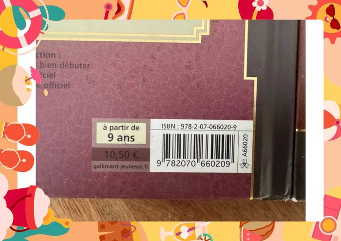 Lot deux livres minecraft - photo numéro 3