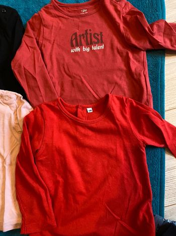Lot 2 tee-shirts 12 mois