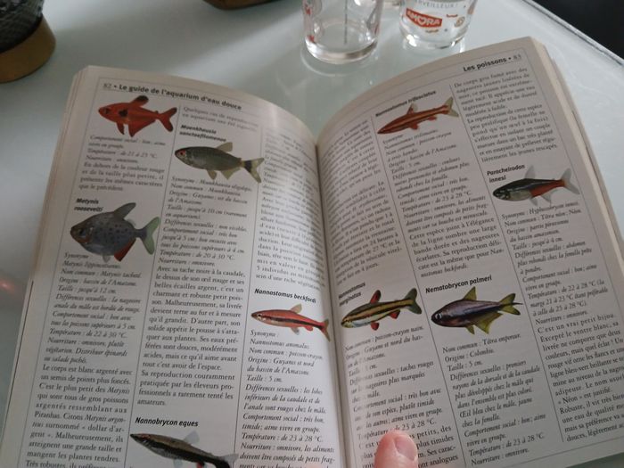 LIVRE LE GUIDE DE L AQUARIUM D EAU DOUCE MARABOUT - photo numéro 3