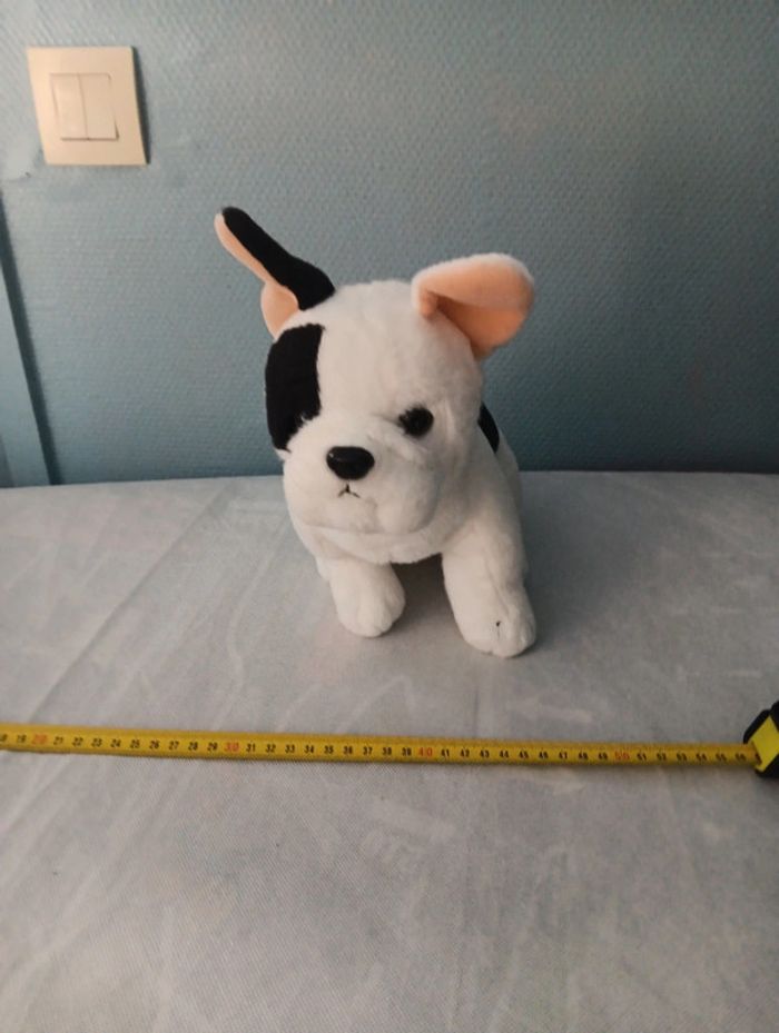 Chien