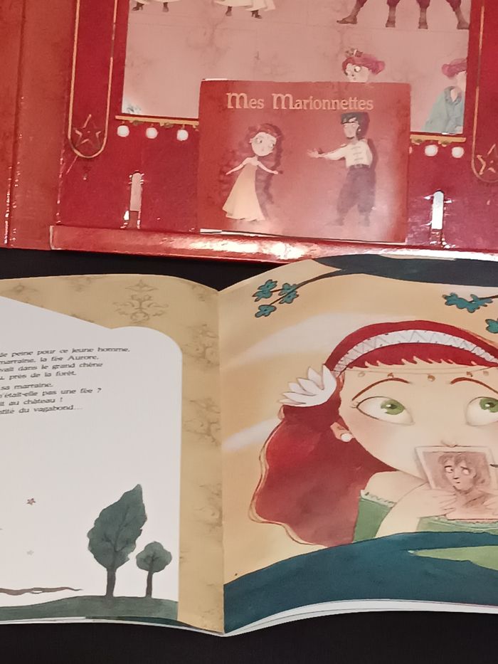 Théâtre princesse - photo numéro 8