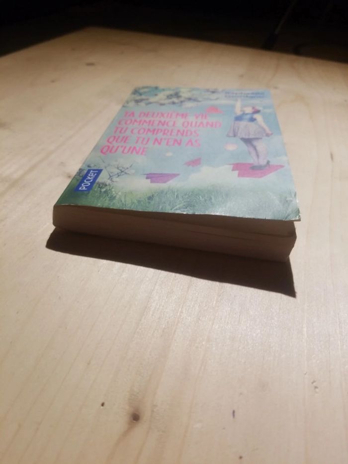 Livre ta deuxième vie commence quand tu comprends que tu n'en as qu'une - photo numéro 3