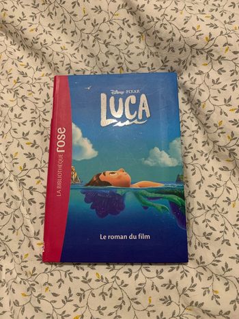 Luca le roman du film