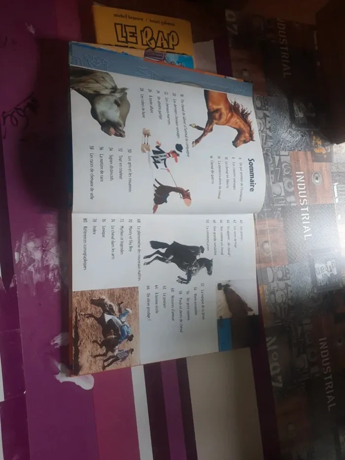 Livre dvd chevaux - photo numéro 3
