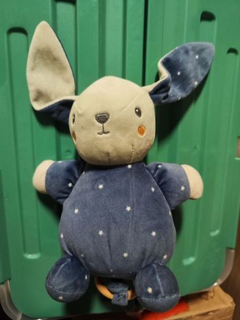 Peluche musicale / boîte à musique 🧸