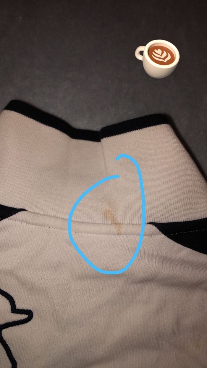 Gillet lacoste édition roland garros - photo numéro 8