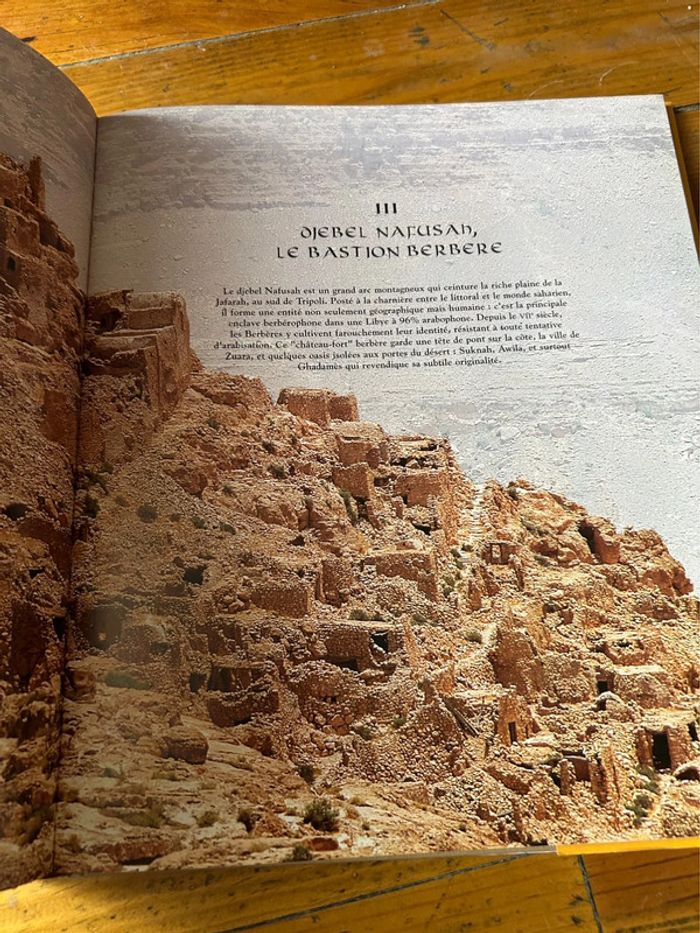 Libye trésor sorti de l’ombre - photo numéro 4